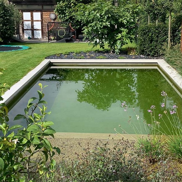  De zwemvijver voorzien van een grootte biofilter 